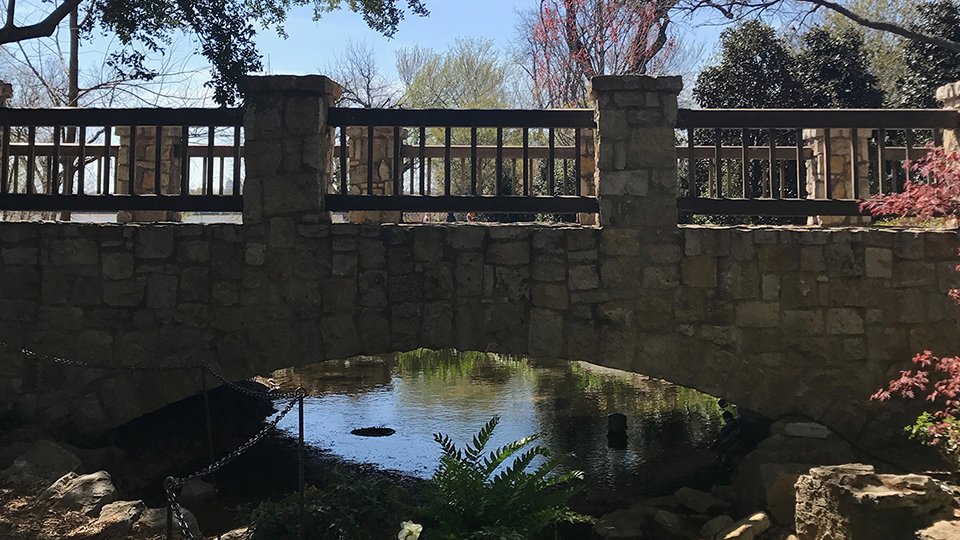 arboretum bridge 960