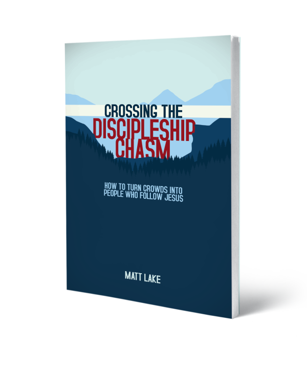 discipleshipchasm cvr 3d